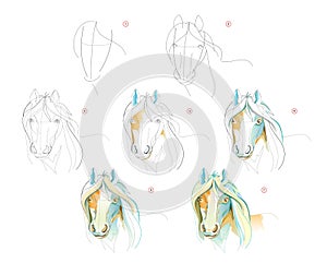 How to learn to draw sketch of horse head. Creation step by step watercolor painting. Educational page for artists. Textbook for photo