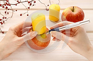 How to make apple and wild rose candle holders