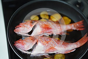 How to make boiled dreamfish