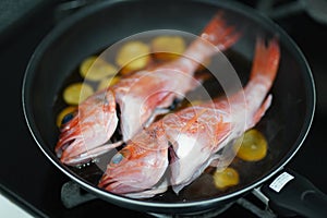 How to make boiled dreamfish