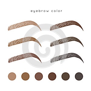 Eyebrow Color photo