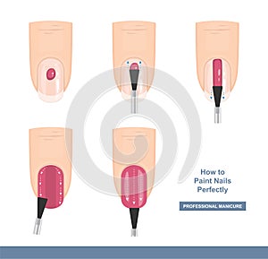 How to paint nails perfectly. Top View. Tips and Tricks. Manicure Guide. Vector