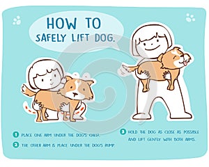 How to safely lift and carry large dog