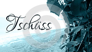 How to say bye in german - TschÃÂ¼ss translation in German: Bye