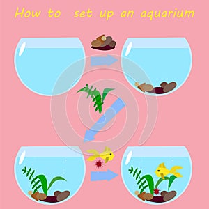 How to set up an aquarium