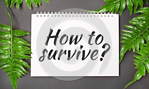How to survive text with real leaves tropical jungle background.flat lay design