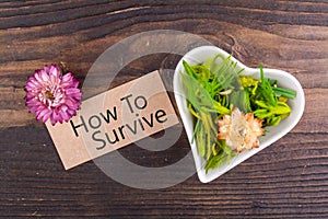 How to survive word on card photo