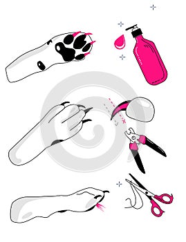 How to take care of dog`s feet instruction.Vector glamour banner in doodle style.Grooming salon or hygiene at home.
