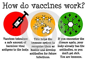 How vaccines work photo