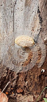 How& x27;d that happen