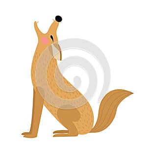 Howling Coyote animal cartoon character vector illustration photo
