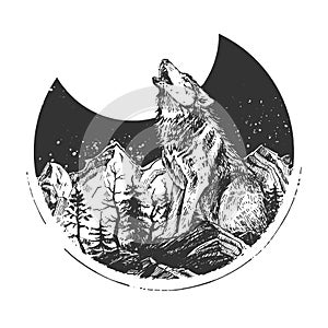 Howling wild wolf engraved sketch