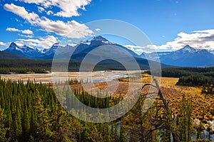 Howse Pass Viewpoint in Banff National Park, Canada