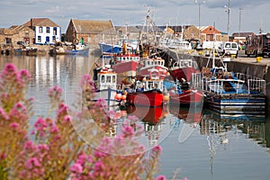 Howth harbour photo