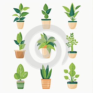 Hoya (Waxplant, Waxvine, Waxflower) Houseplants Pot Plant Icon Set, Hoya Plant Flat Design