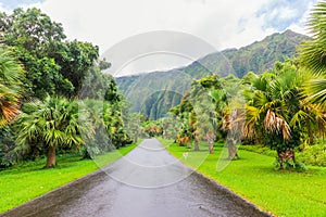 Hoâ€™omaluhia Botanical Garden in Oahu, Hawaii