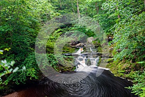 The HoÃ«gne river in the Belgium Ardennes is a small river full of cascades in the Liege Province