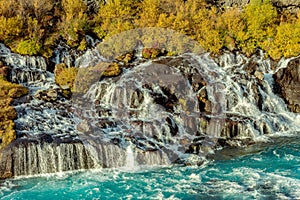 Hraunfossar waterfall in yellow autumn colors photo