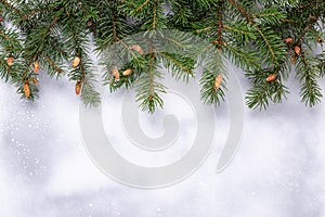 Ð¡hristmas background with fir branches and snow
