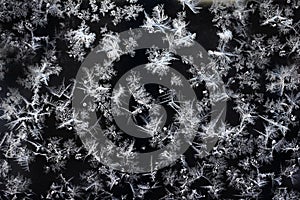 Ð¡hristmas background, frost patterns on glass