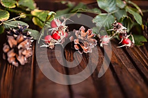 Ð¡hristmas decoration on wooden background.