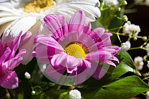 Ð¡hrysanthemum in a bouquet