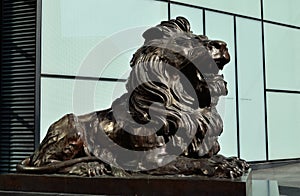 HSBC Lion photo