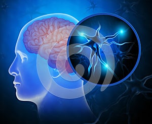 Human brain with active neurons