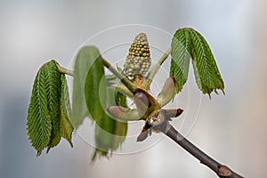 https: ichip.ru podborki aksessuars kak-vybrat-kartu-pamyati-i-pochemu-ehto-nelzya-delat-spustya-rukava-360592 photo