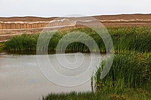 Huachaque or ceremonial well