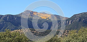 A Huachuca Mountain Autumn photo