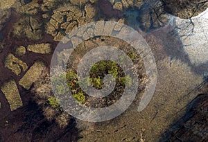 Huai `an, jiangsu province, China: the ancient Yellow River wetland park looks like an oil painting