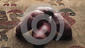 HUANCAVELICA peru traditional raw potato from the peruvian andes called SANGRE TOTO for sale in market