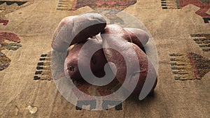 HUANCAVELICA peru traditional raw potato from the peruvian andes called SANGRE TOTO for sale in market