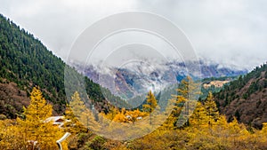 Huanglong National Park , Yellow Dragon during autumn afternoon in Ngawa Tibetan and Qiang in Sichuan , China : 18 October 2023