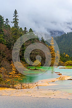 Huanglong National Park , Yellow Dragon during autumn afternoon in Ngawa Tibetan and Qiang in Sichuan , China : 18 October 2023