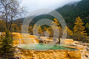 Huanglong National Park , Yellow Dragon during autumn afternoon in Ngawa Tibetan and Qiang in Sichuan , China : 18 October 2023