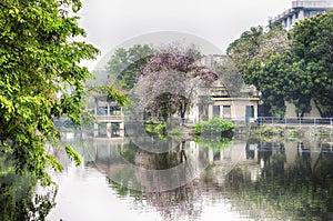 Huangpu village scenic area guangzhou china