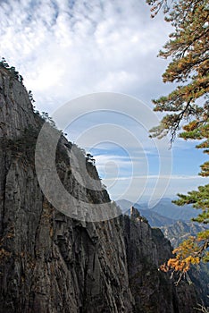 Huangshan Mountain in Anhui Province, China. Scenic view of cliffs, pine tree and a valley
