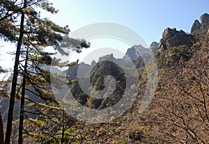 Huangshan Mountain in Anhui Province, China. View of peaks and trees as seen from the eastern steps