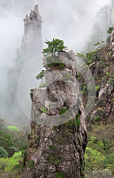 Huangshan Mountain (Yellow Mountain), China