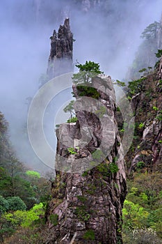 Huangshan Mountain (Yellow Mountain), China