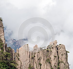 Huangshan (yellow mountain) and pine tree on the top, Huang Shan, China.