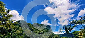 Huap Tad Forest and sky