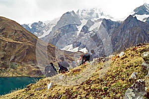 Huayhuash Trek, Peru