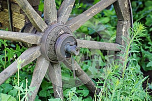 The hub of an old wooden wheel