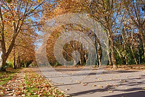 Hubei Wuhan East Lake Scenic Area Late Autumn Scenery