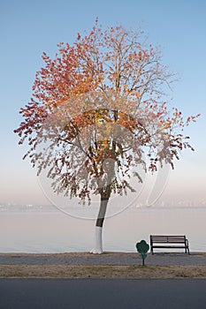 Hubei Wuhan East Lake Scenic Area Late Autumn Scenery