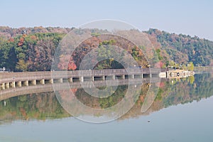 Hubei Wuhan East Lake Scenic Area Late Autumn Scenery