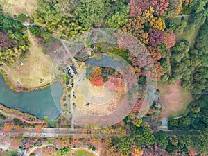 Hubei Wuhan East Lake Scenic Area Late Autumn Scenery